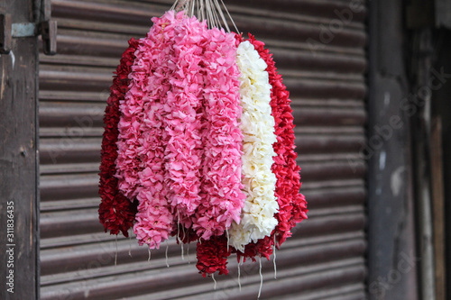 hanging roses