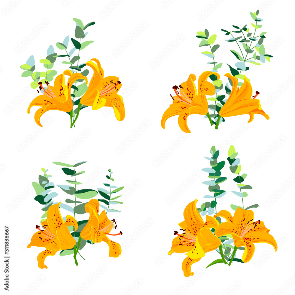vector drawing lily flowers vector drawing lily flowers