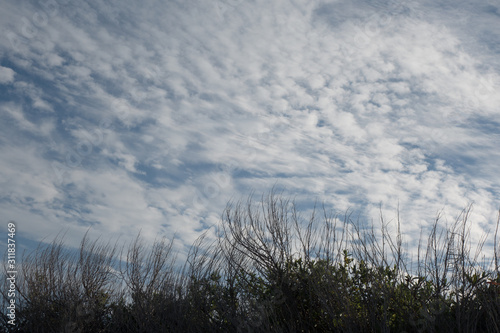 glass and sky