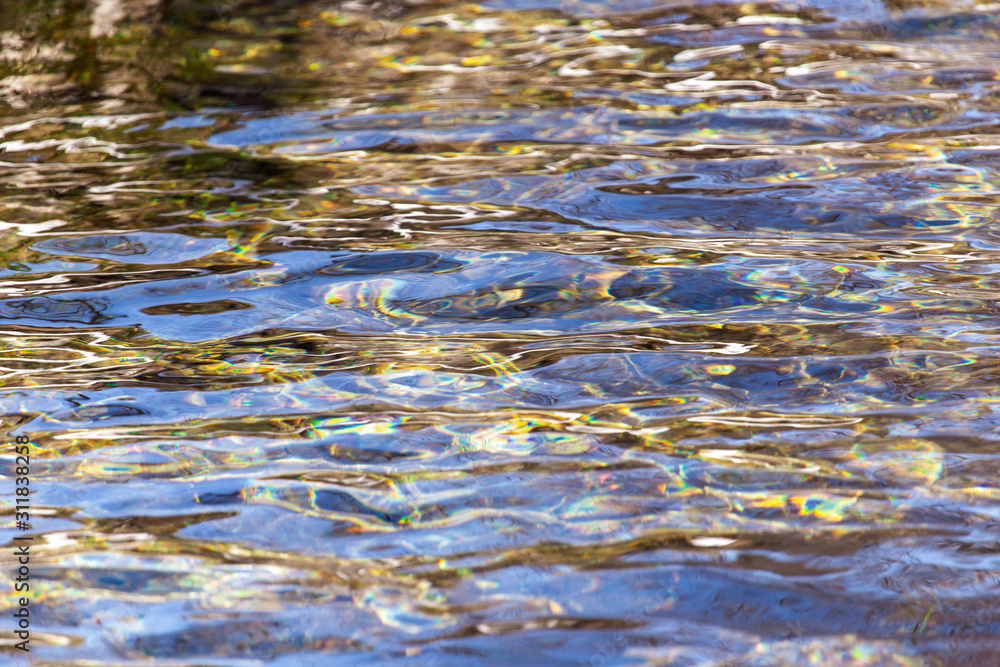 The surface of clear water in a pond The surface of clear water in a pond
