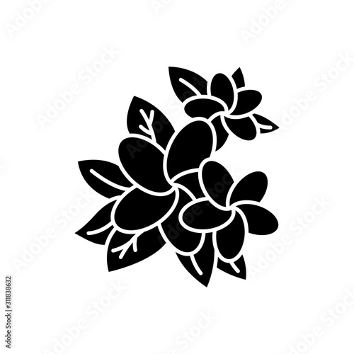 Plumeria glyph icon. Exotic region flowers. Nature of Indonesian jungles. Small tropical plants. Blossom of frangipani with leaves. Silhouette symbol. Negative space. Vector isolated illustration