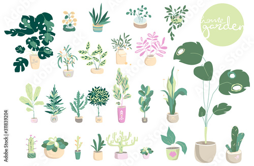 Succulents in DIY concrete pots in scandinavian style. Home decoration.Vector illustration. Garden botanical floral, hand draw illustration big set
