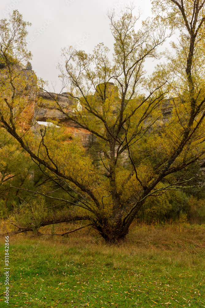 The Lobos River Canyon in the province of Soria The Lobos River Canyon in the province of Soria