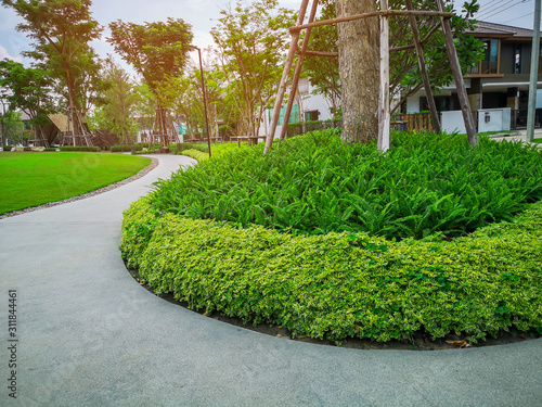 Greenery bush and trees in garden with gray curve pattern walkway, sand washed finishing on concrete paving , smooth green grass lawn, shrubs in a good care maintenance landscapes