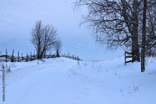 Snow, bare trees, a fence of twigs. © Ruslan