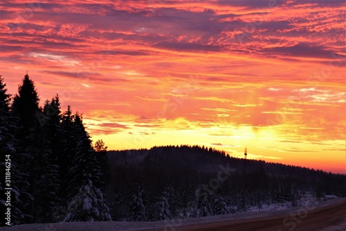 Landscape: a high, red-yellow sky at sunset, gray clouds, a road on a bend, a forest in the snow. © Ruslan