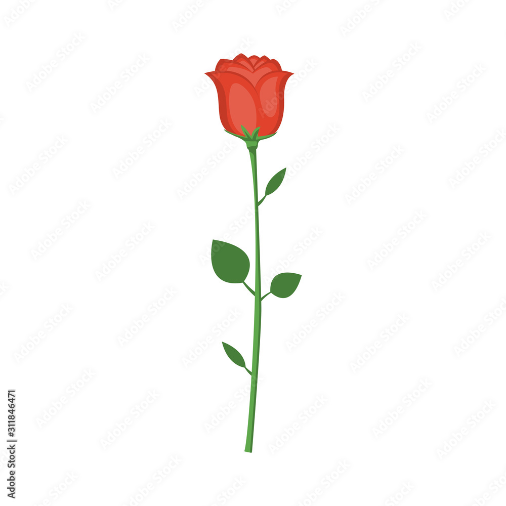 Cartoon red rose. Vector illustration for Valentine's Day.