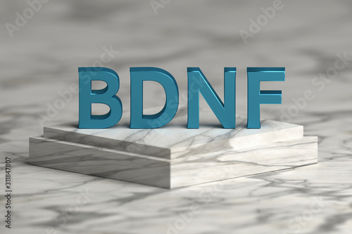 Abbreviation BDNF standing for Brain-derived neurotrophic factor in bold blue letters standing on marble pedestal photo