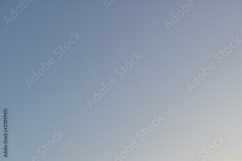 Photo of a beautiful, even, saturated, blue sky without clouds. Layout for advertising, texture, background and more.