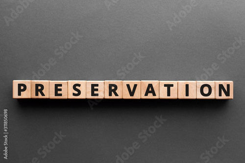 Preservation - word from wooden blocks with letters, process that keeps organic things from decomposing protection preservation concept, gray background