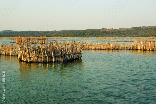 Lagoon landscape with clear waters at Kosi Bay, South Africa photo