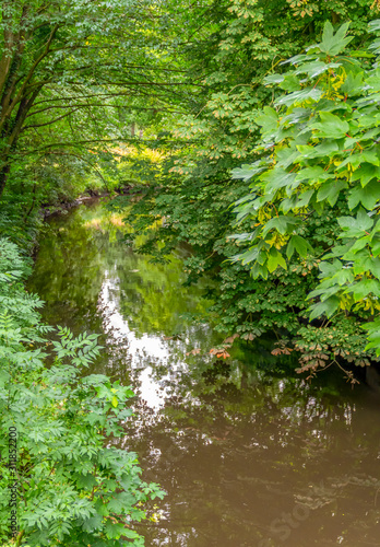 waterside scenery