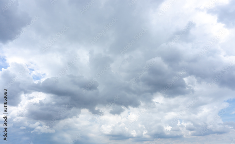 Fototapeta premium Beautiful white fluffy clouds formation on vivid blue sky know as raincloud