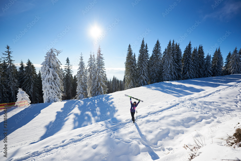 Happy woman with skis in center of amazing panoramic view of sky and forest. Snow-covered mountain hill in sunny day during winter vacation. Skier rejoicing with skis raising up in hands. General view