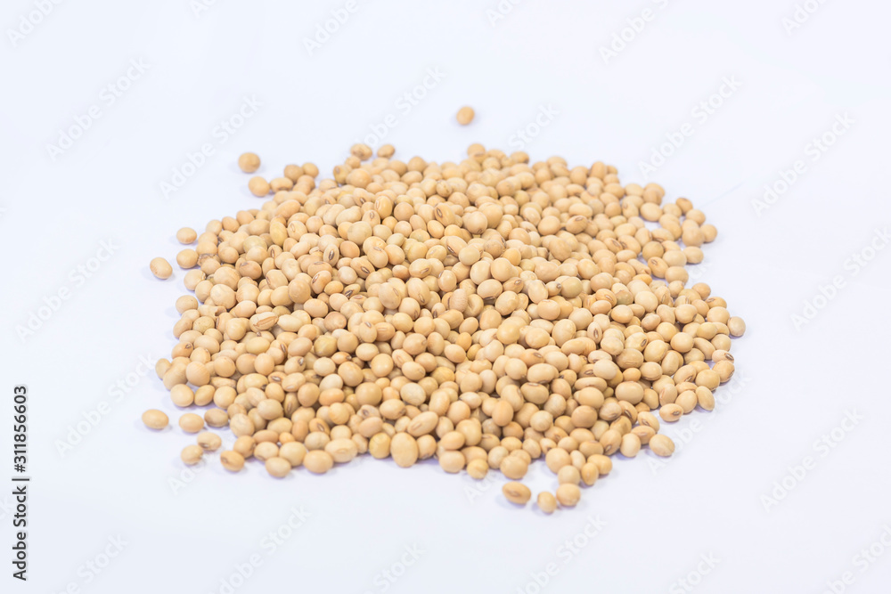soybean soybean