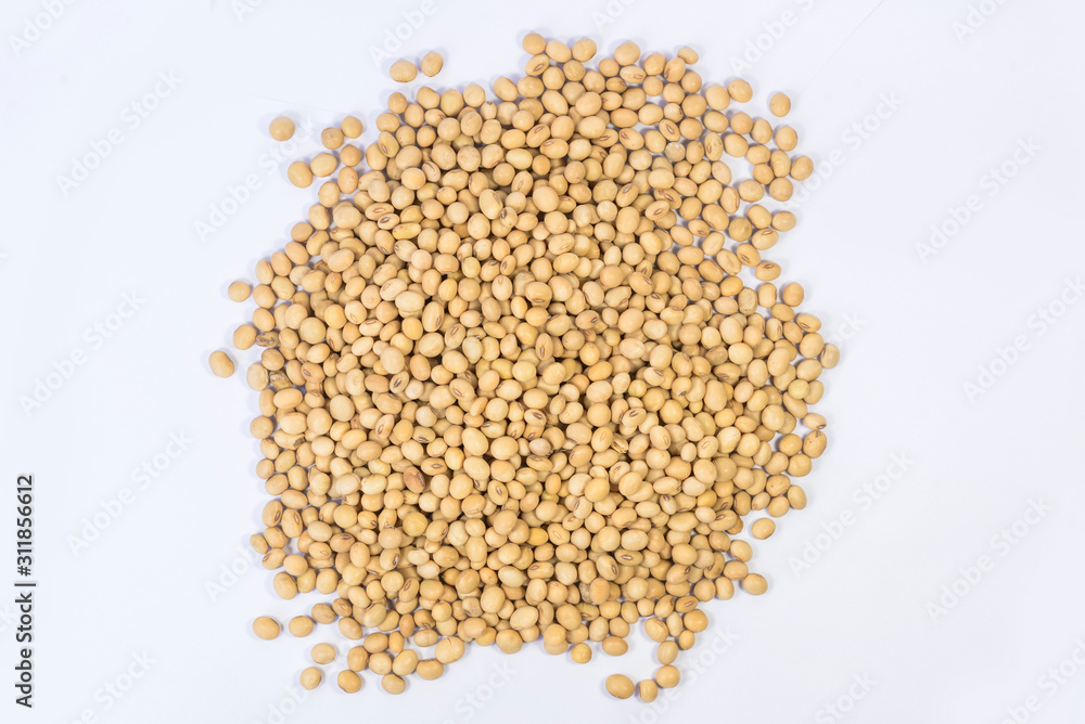 soybean soybean