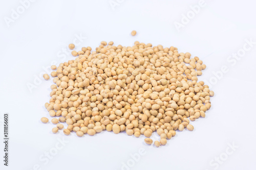 soybean