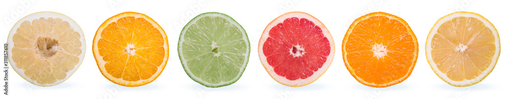 multi-colored citrus slices on a white background multi-colored citrus slices on a white background