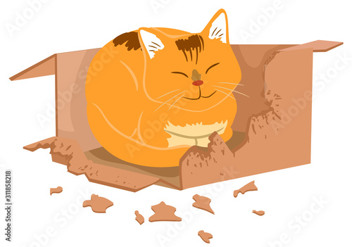 Cat Box Biting Illustration