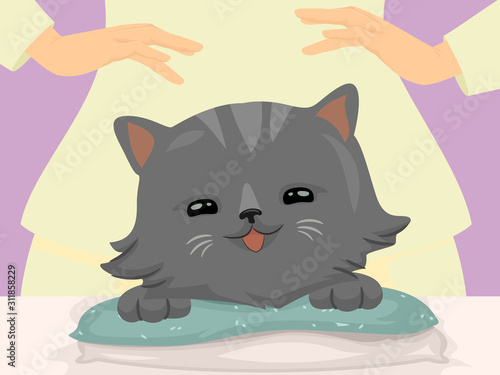 Cat Hand Reiki Massage Illu...