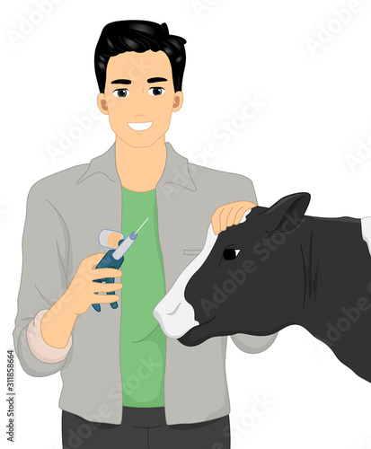 Man Veterinarian Cow Vaccin...