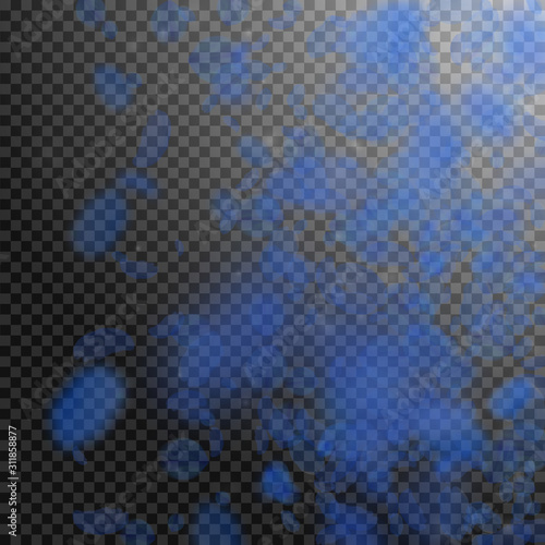 Dark blue flower petals falling down. Admirable ro