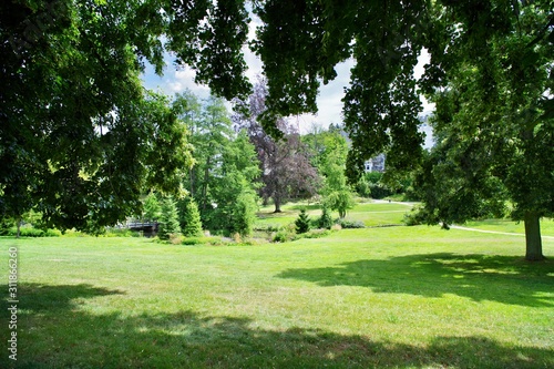 Wallpaper Mural Park Torontodigital.ca