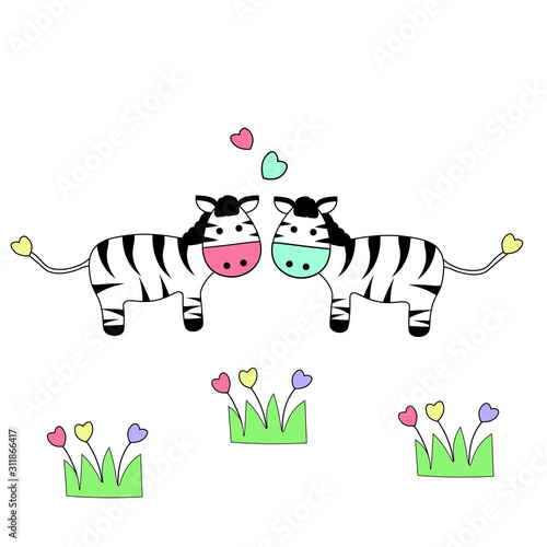 cute of couple zebra with heart on white background.
