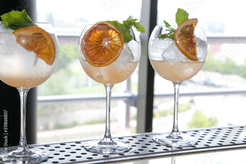 gin and tonic with mint ice and dried grapefruit