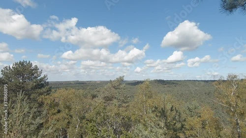 Panning footage of a beautiful panorama of Fontainebleau forest in France. photo