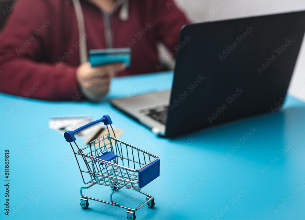 Low section of a person using laptop and credit cards
