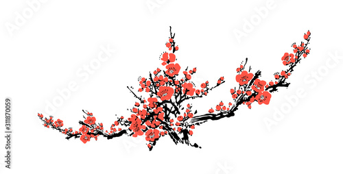 Cherry Flowers Blooming. Realistic Sakura Blossom - Japanese Plum Tree. Chinese or Japanese traditional Symbol.