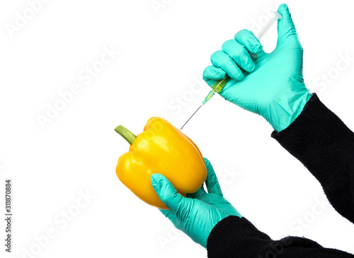 Human being injected chemicals into yellow pepper, pesticides and fertilizers and chemicals with a syringe. photo