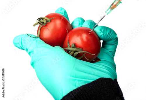 Human being injected chemicals into cherry tomatoes, pesticides and fertilizers and chemicals with a syringe. photo