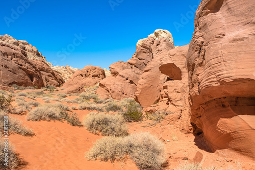 The unique red sandstone rock formations in Valley of Fire State park  Nevada  USA