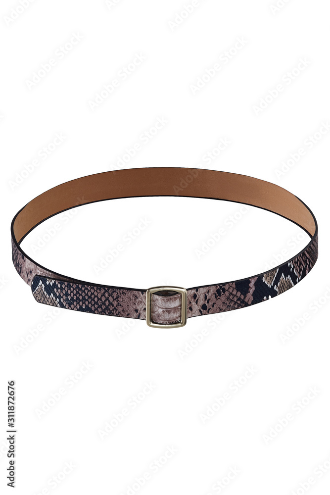 Subject shot of a showy goldish leather belt with black snake print and a golden buckle. The stylish belt is isolated on the white background. Subject shot of a showy goldish leather belt with black snake print and a golden buckle. The stylish belt is isolated on the white background.