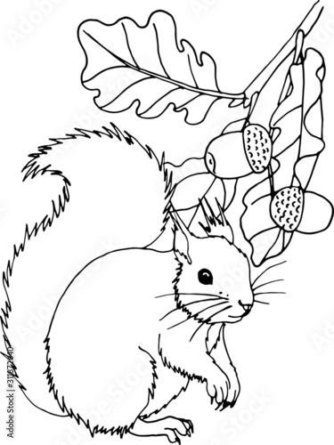 coloring page with squirrel and oak brunch
