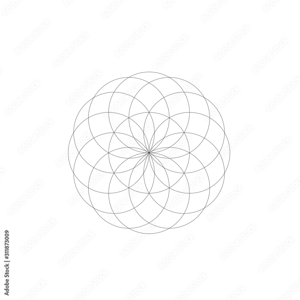 flower of life geometry 12 petals flower of life geometry 12 petals