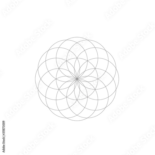 flower of life geometry 12 petals