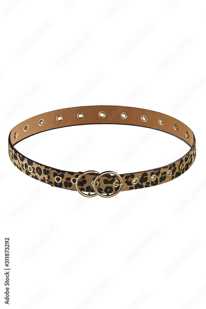 Subject shot of a showy beige fur belt with leopard print and golden round buckles. The stylish belt is isolated on the white background. Subject shot of a showy beige fur belt with leopard print and golden round buckles. The stylish belt is isolated on the white background.