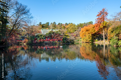 Wallpaper Mural 井の頭恩賜公園 Torontodigital.ca
