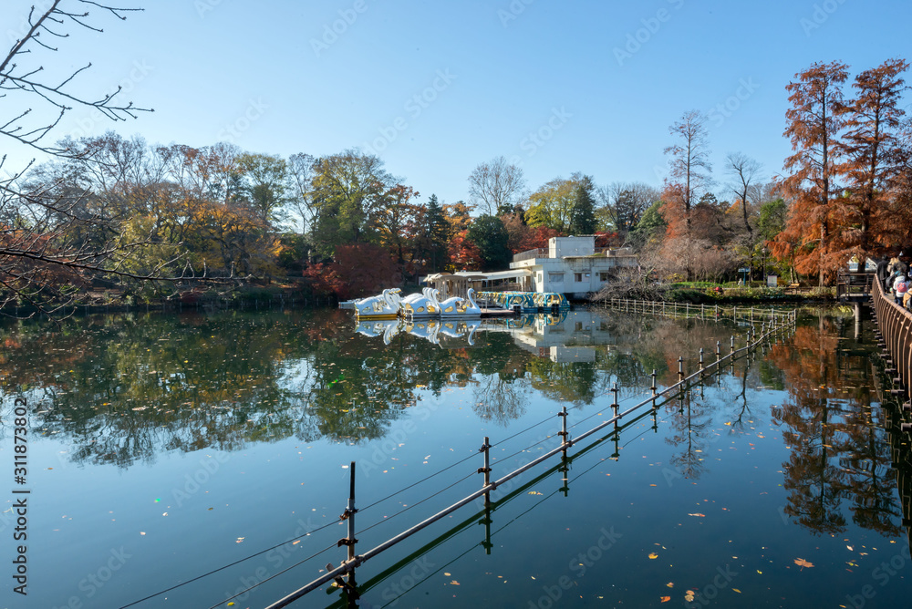 Fototapeta premium 井の頭恩賜公園
