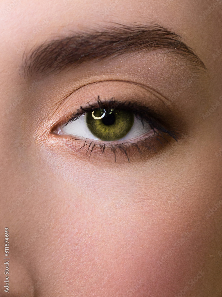 Beautiful macro shot of female green eye with extreme long eyelashes and smoky makeup. Perfect eyebrows and long lashes. Cosmetics and make-up. Closeup macro shot of fashion eyes visage Beautiful macro shot of female green eye with extreme long eyelashes and smoky makeup. Perfect eyebrows and long lashes. Cosmetics and make-up. Closeup macro shot of fashion eyes visage