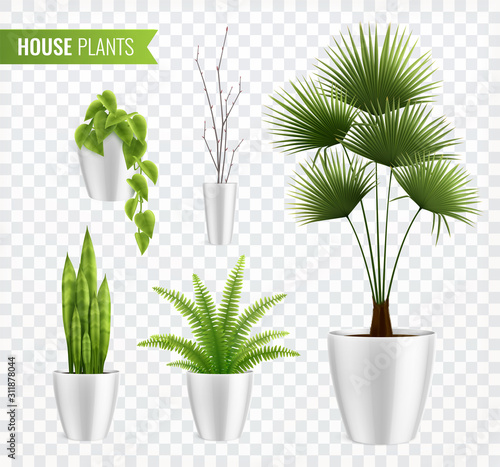 House Plants In Pot Realistic Icon Set