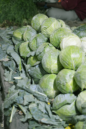 cabbage or patta kobi in Indian market