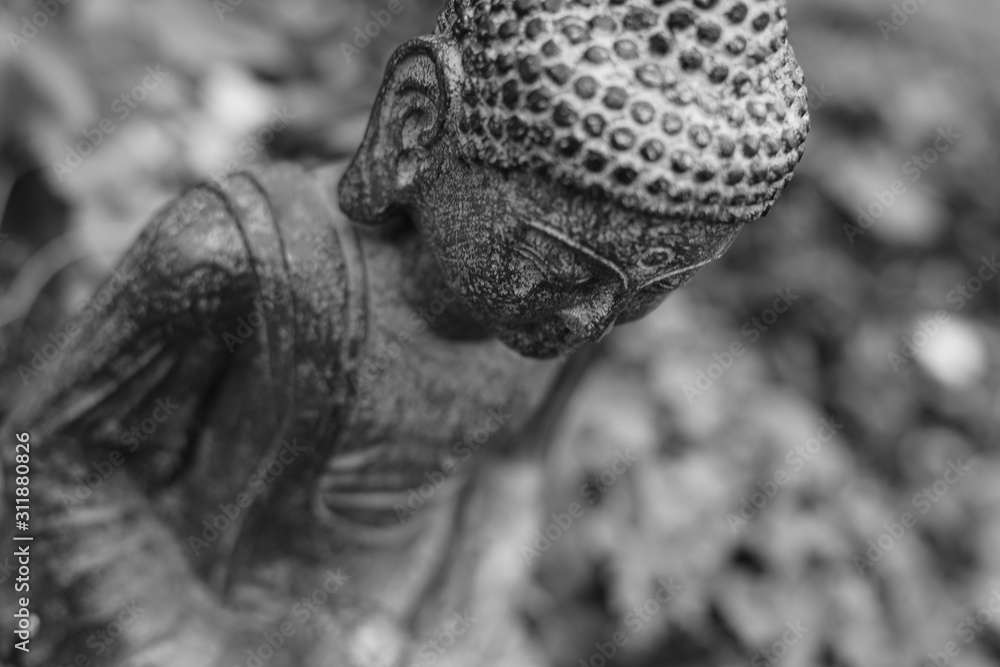 Buddha Buddha