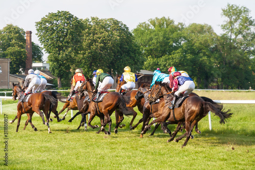 Pferde mit Jokeys auf einem Derby