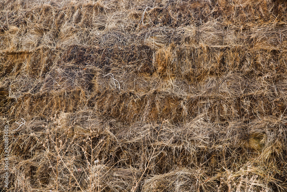 The brown hay on top view for background The brown hay on top view for background