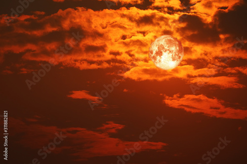 wolf blood moon back on silhouette red orange cloud and night sky