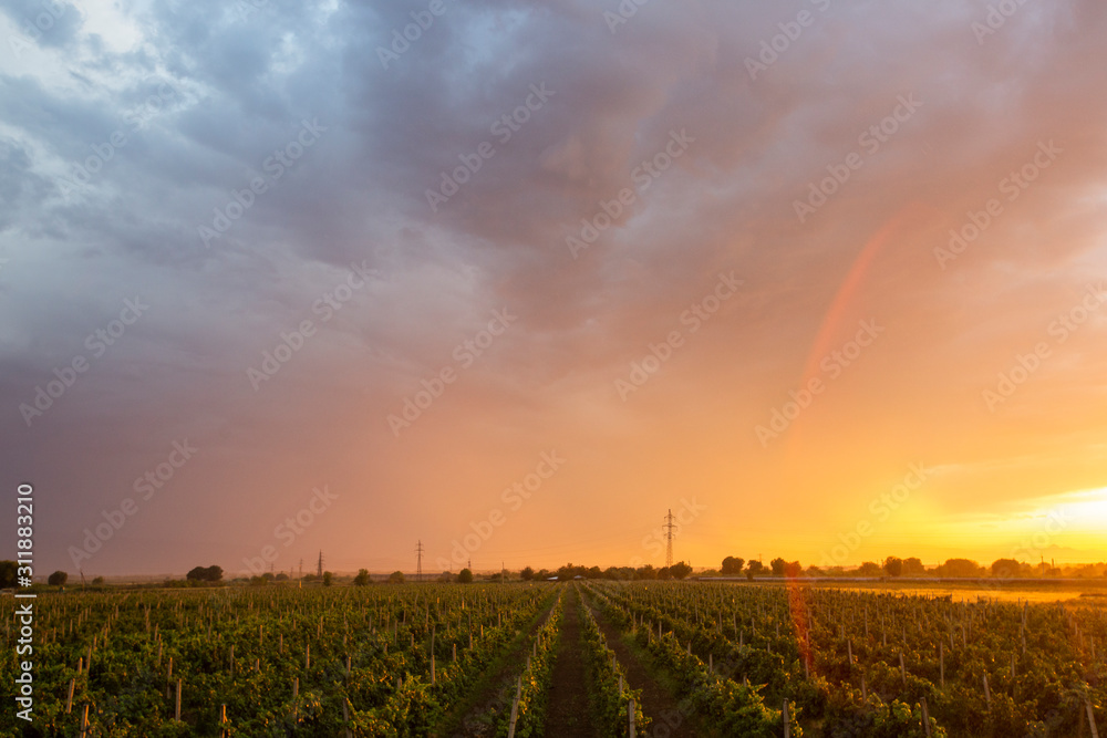 Panoramic view in beautiful orange sunset Panoramic view in beautiful orange sunset